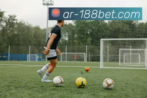 金宝博官网服务体系